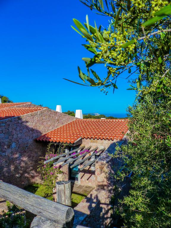 רנה מג'ורה Rena Village מראה חיצוני תמונה
